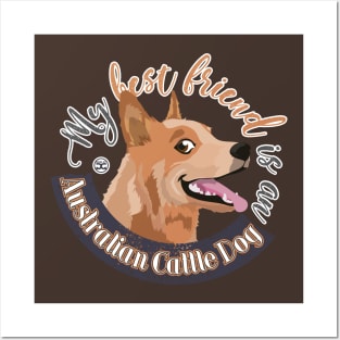 My Best Friend is an Australian Cattle Dog - Red Posters and Art